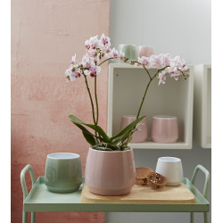 OSŁONKA CERAMICZNA  670
