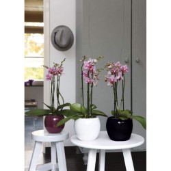 OSŁONKA CERAMICZNA KULA SERIA 510