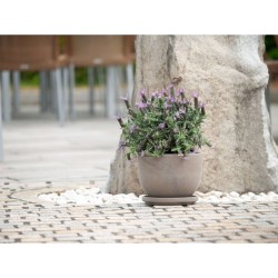 DONICA TERAKOTA ELARA BASALT