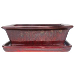 DONICA BONSAI CERAMICZNA...