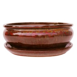 DONICA BONSAI CERAMICZNA...