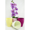 OSŁONKA CERAMICZNA DO STORCZYKA SERIA 912