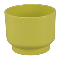 OSŁONKA PRYMULA SERIA ,,67"