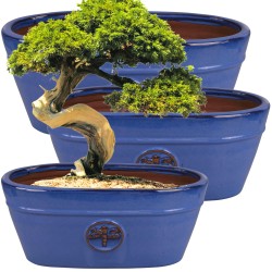 CERAMICZNA DONICA SZKLIWIONA OWAL NIEBIESKA