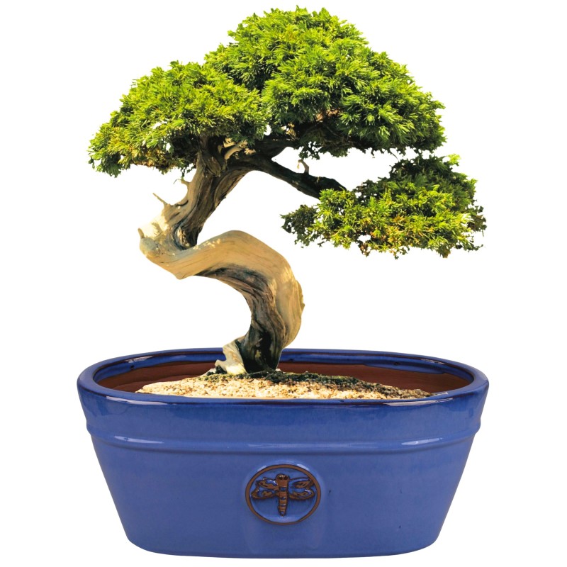 CERAMICZNA DONICA SZKLIWIONA OWAL NIEBIESKA