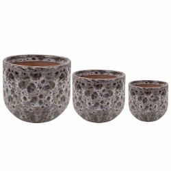 PALETA MIX DONICE OGRODOWE LUNA 10 KPL