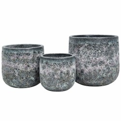 PALETA MIX DONICE OGRODOWE LUNA 10 KPL