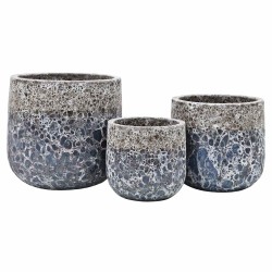 PALETA MIX DONICE OGRODOWE LUNA 10 KPL