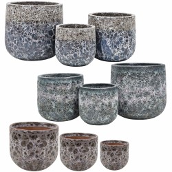 PALETA MIX DONICE OGRODOWE...