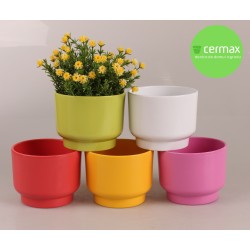 OSŁONKA PRYMULA SERIA ,,67"