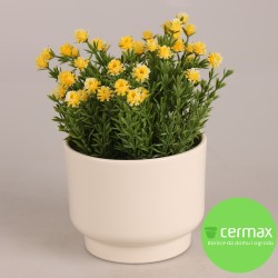 OSŁONKA PRYMULA SERIA ,,67"