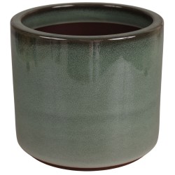 DONICA SZKLIWIONA...