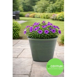 DONICA SZKLIWIONA CERAMICZNA SOMBRA ZIELONA H:24x30,5cm