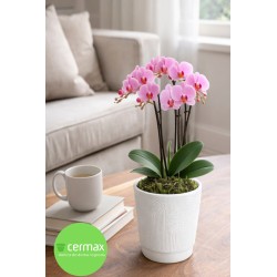 OSŁONKA CERAMICZNA ARCHE SERIA 469