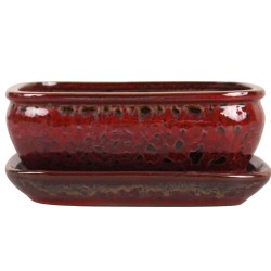 DONICA SZKLIWIOMA BONSAI Z...