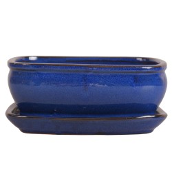 DONICA SZKLIWIONA BONSAI Z...