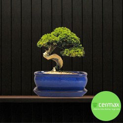 DONICA SZKLIWIONA BONSAI Z PODSTAWKĄ NIEBIESKA