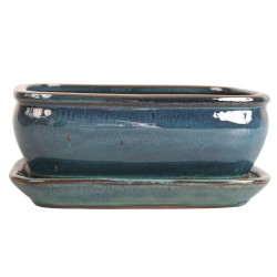 DONICA SZKLIWIONA BONSAI Z...