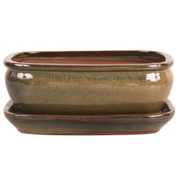 DONICA SZKLIWIONA BONSAI Z...