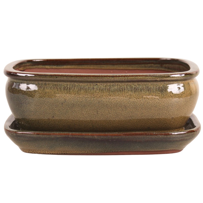 DONICA SZKLIWIONA BONSAI Z PODSTAWKĄ ZIELONA