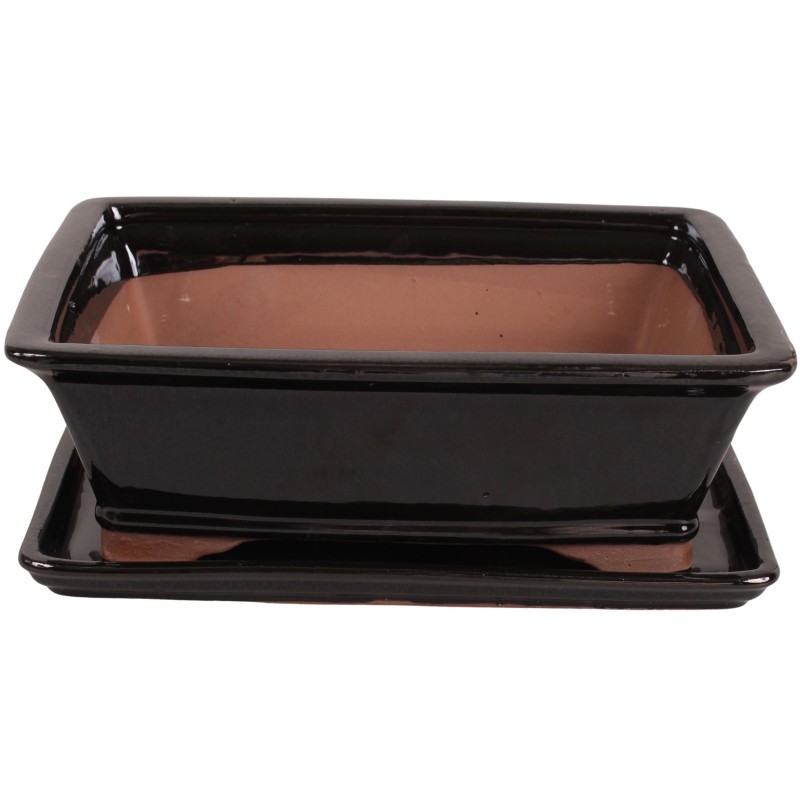 DONICA SZKLIWIONA BONSAI Z PODSTAWKĄ CZARNA