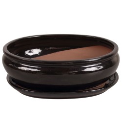 DONICA BONSAI Z PODSTAWKĄ...