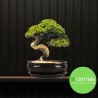 DONICA BONSAI Z PODSTAWKĄ SZKLIWIONA CZARNA