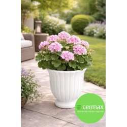 DONICA SZKLIWIONA CERAMICZNA BIAŁA