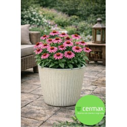 DONICA CERAMICZNA SZKLIWIONA KREM 200-4378