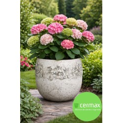 DONICA OKRĄGŁA LEKKI CEMENT BIAŁA