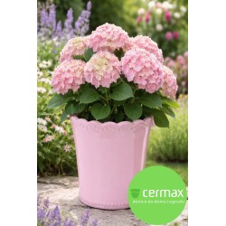 DONICA SZKLIWIONA CERAMICZNA RÓŻOWA