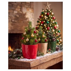 OSŁONKA CERAMICZNA XMASS 811