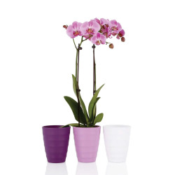 OSŁONKA CERAMICZNA DO STORCZYKA SERIA 907