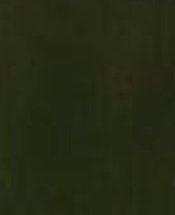 ZIELONY