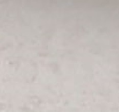 BIAŁE ZŁOTO (2853)