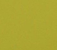 PASTEL ZIELONY (525)